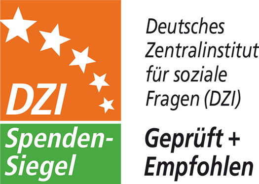 DZI Logo